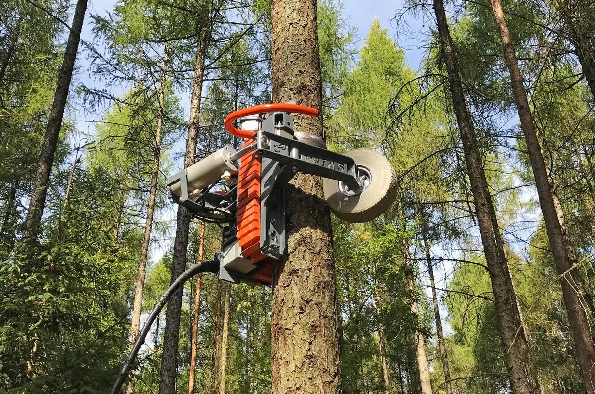 Advaligno Machine: Small Tree Delimber | Automatic Tree Trimmer | Tree Pruning