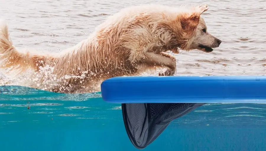 <strong>Dog on Water Ramp: Floating Dog Ramp for Lake, Pool & Dock – Inflatable Dog Ramp for Boat – Pontoon Ramp for Dogs</strong>